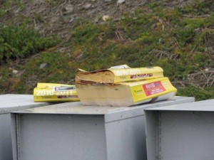 Yellow Pages Expense